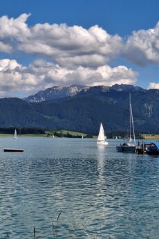 Badesee an einem Sommertag