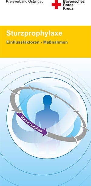 Prophylaxe-Sturz Web