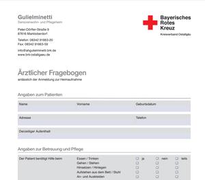 Aerztlicher Fragebogen Gulielminetti web 20130107